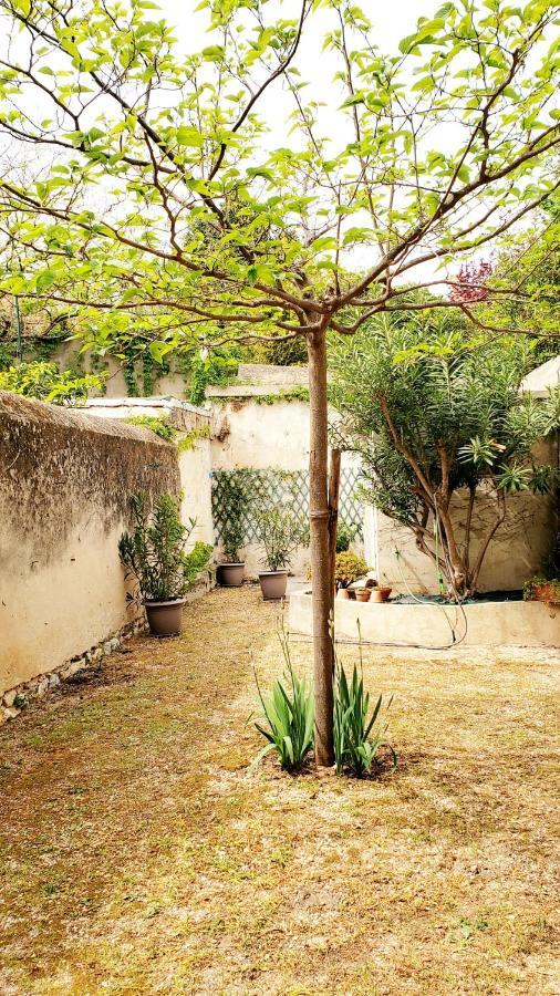 Appartement Au Coeur De Cassis Avec Jardin Buitenkant foto