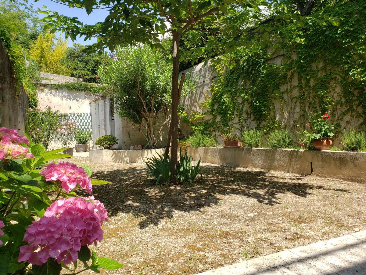 Appartement Au Coeur De Cassis Avec Jardin Buitenkant foto